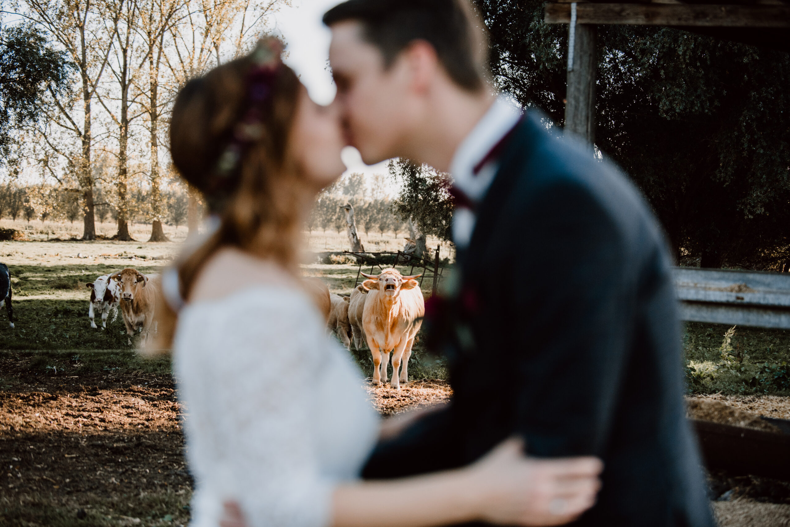 You are currently viewing Hochzeitsfotografie: Insider Tipps von Jenny Engerer